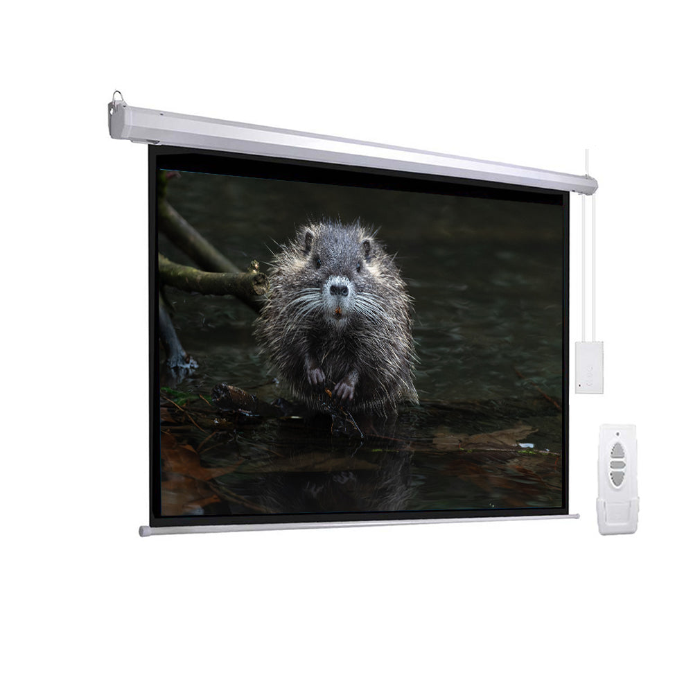 Wall Screen projector - 1