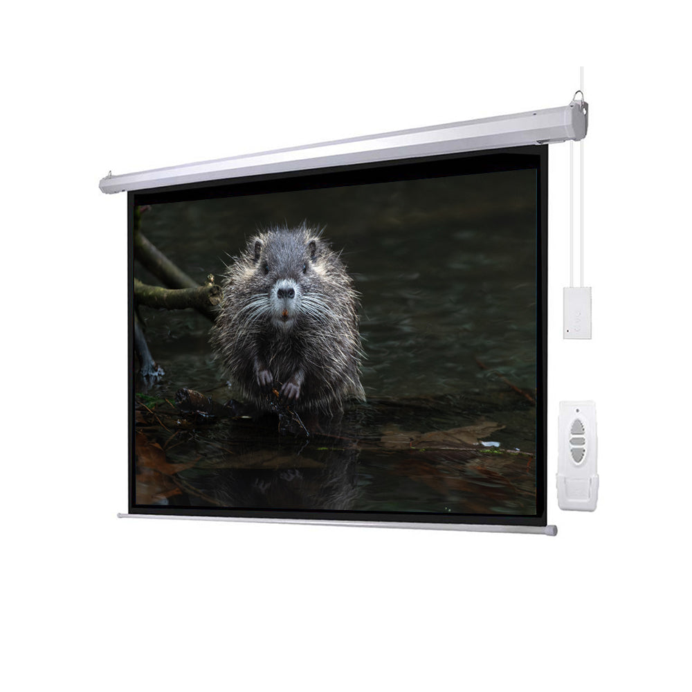 Wall Screen projector - 0
